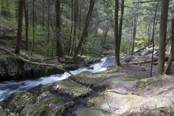 Water rushing through Tillman Ravine.