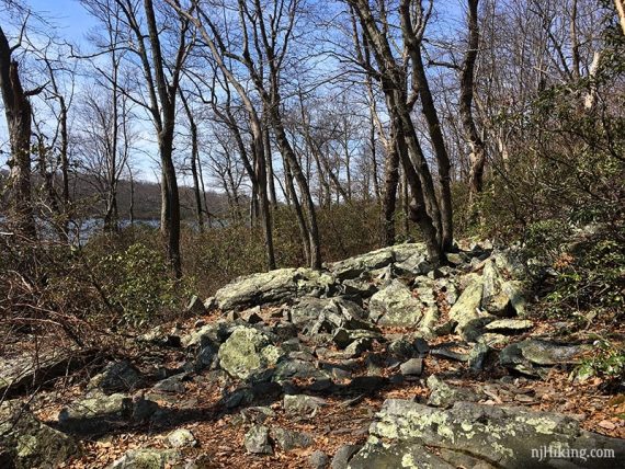 Very rocky AT along Sunfish Pond.