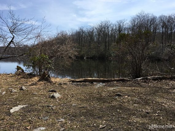 South end of Sunfish Pond.