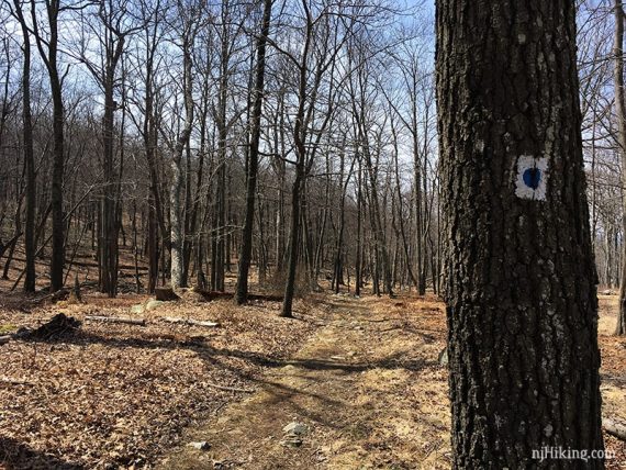 Blue dot on white trail marker.