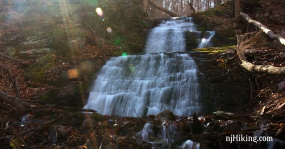 Laurel Falls with sunlight streaming in from the side.