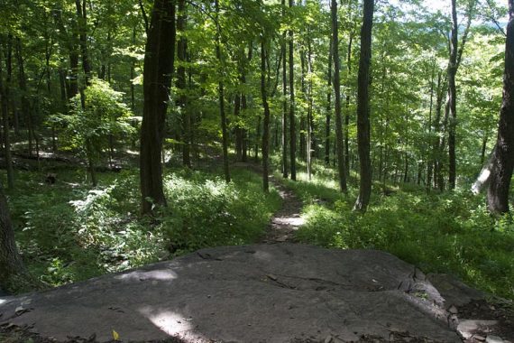 The trail after High Rocks