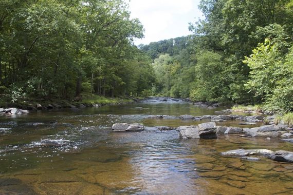 Tohickon Creek