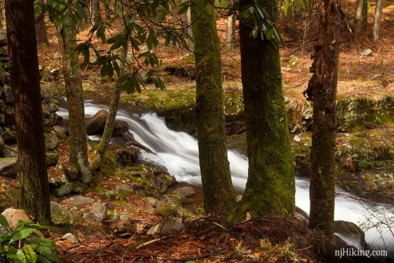 Stony Brook Falls seen through trees.