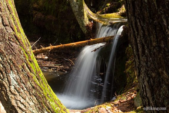 Delicate spray of a waterfall off a lip of rock.