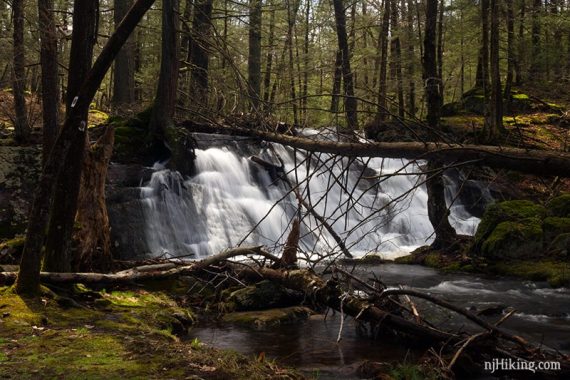 Stony Brook Falls.