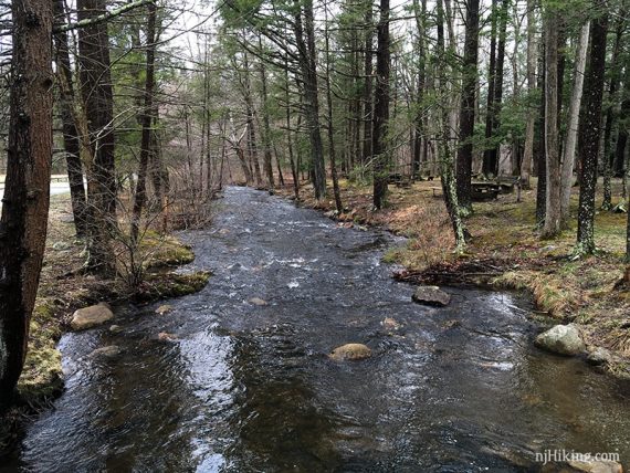 Wide section of Stony Brook.