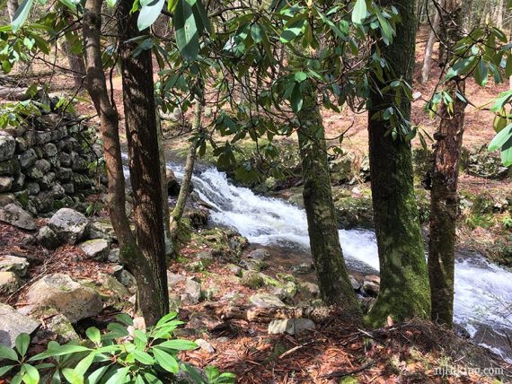 Remnants of a stone wall as part of an old sawmill site.