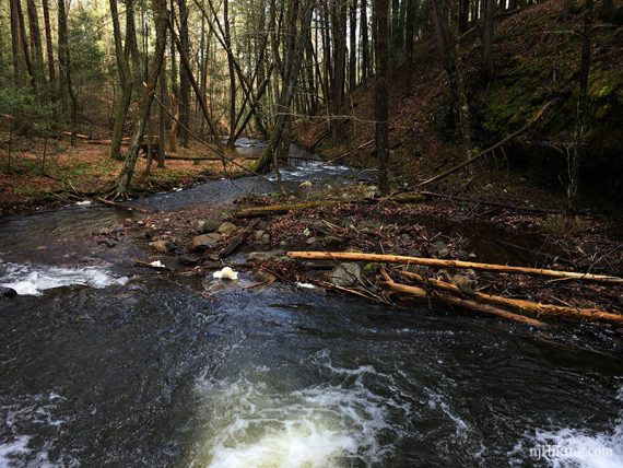 Bend in a stream with swirling pools of water.