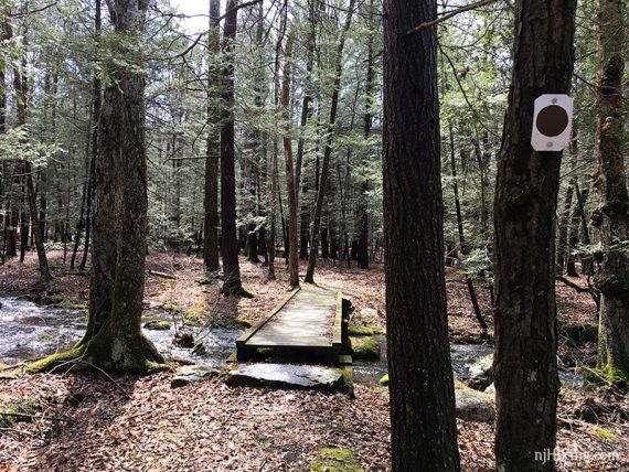 Brown circle trail marker on a tree near a footbridge.