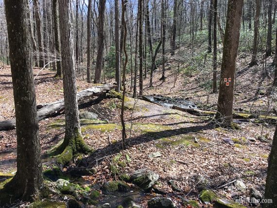 Metal grate over a small mine pit by a log next to a stream.