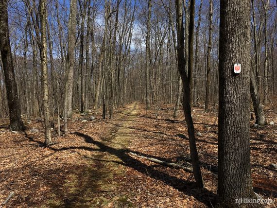 Trail marker on a tree next to a level path.