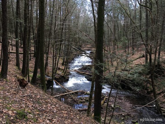 Overview of the first falls on the wall back on Stony Brook.