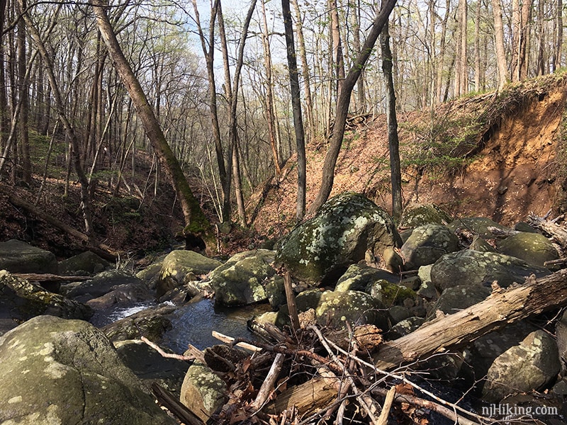Looking back down the stream while at the falls.