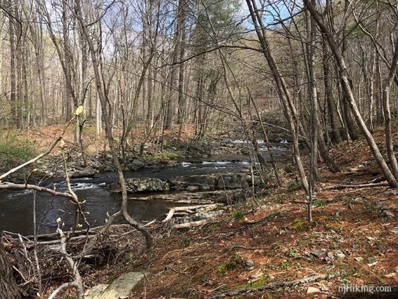 Stream above Lockatong Falls