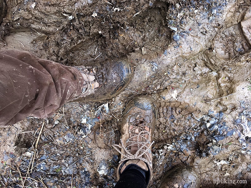 At the end of the hike