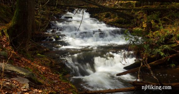 Stepping Stone Falls cascading over rocks.