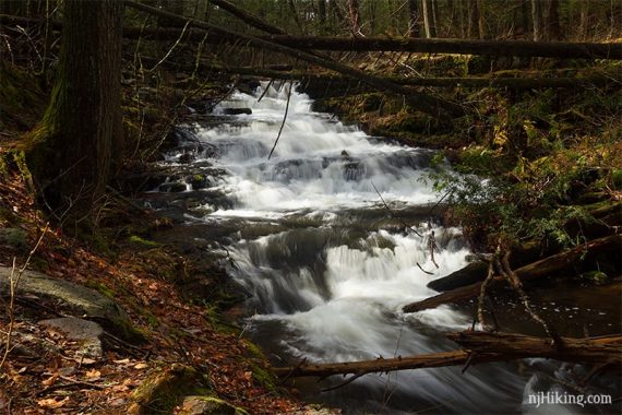 Stony Brook Falls cascading over rocks with fallen branches over it.