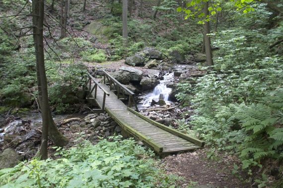 Bridge on Coppermines, 2011 04