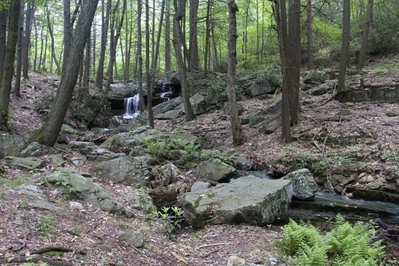 Wide shot of that old waterfall, 2011