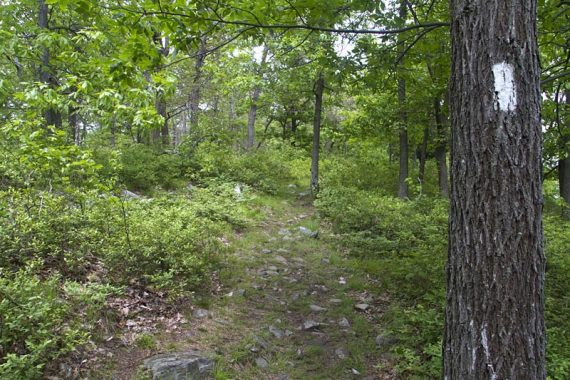 Appalachian Trail 10