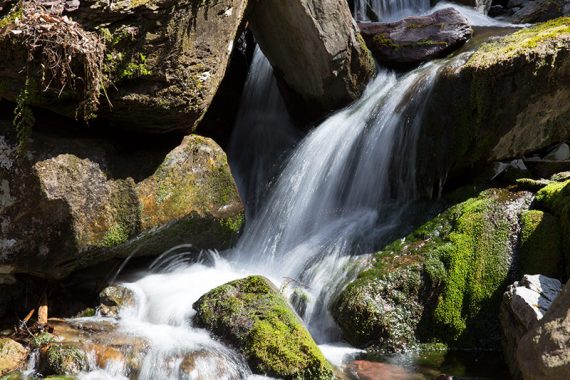 Close up water cascading over rocks