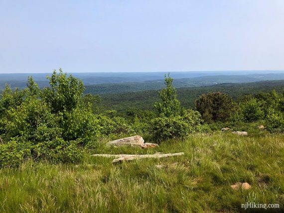 View from Blue Mountain