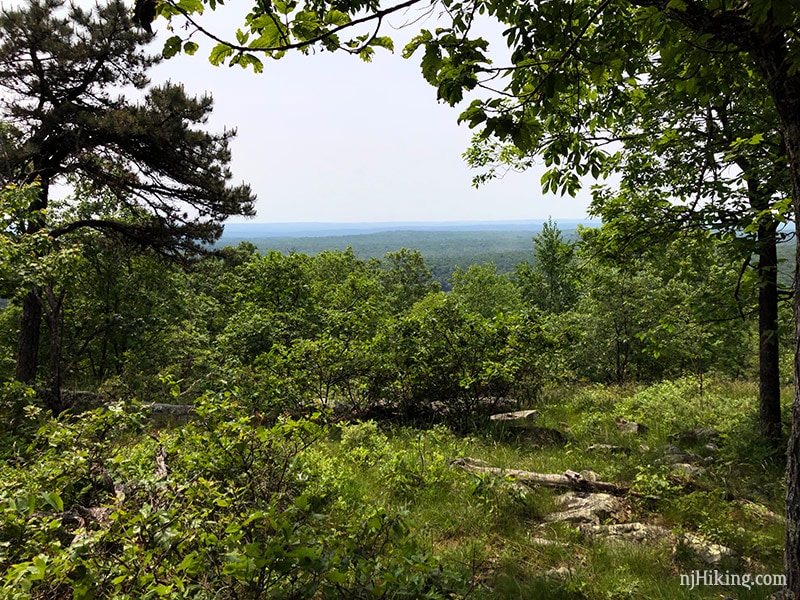 First limited view on Appalachian Trail