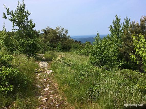 Appalachian Trail on Blue Mountain, looking south.