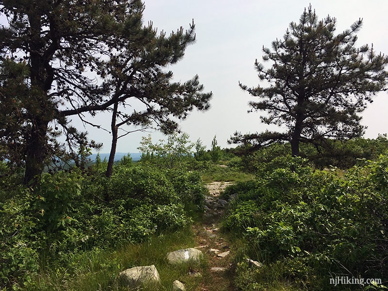 Appalachian Trail on Blue Mountain.