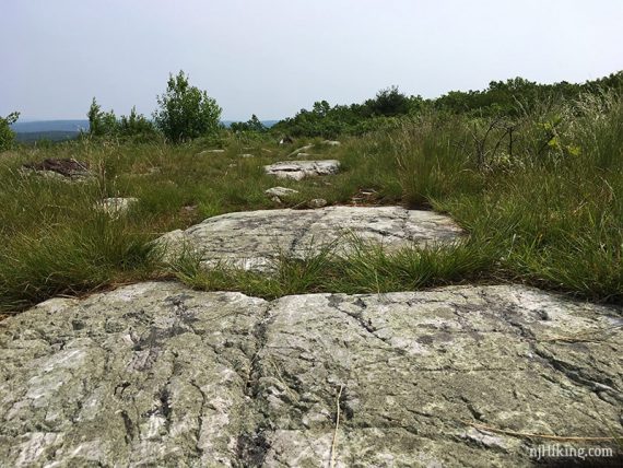 Rock slabs on trail