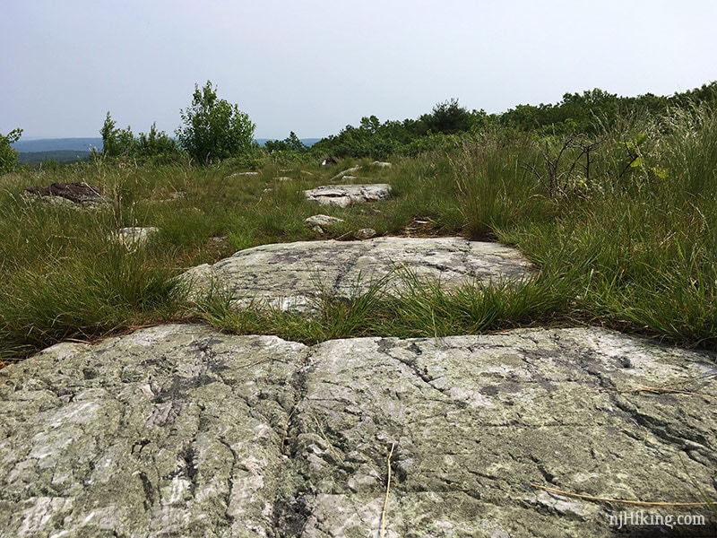 Appalachian Trail on Blue Mountain.