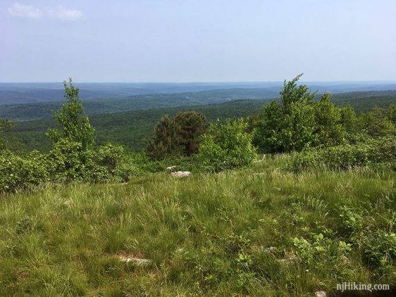 View from Blue Mountain