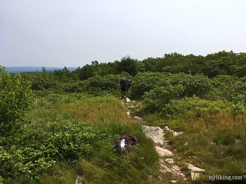 Heading back on the Appalachian Trail on Blue Mountain.
