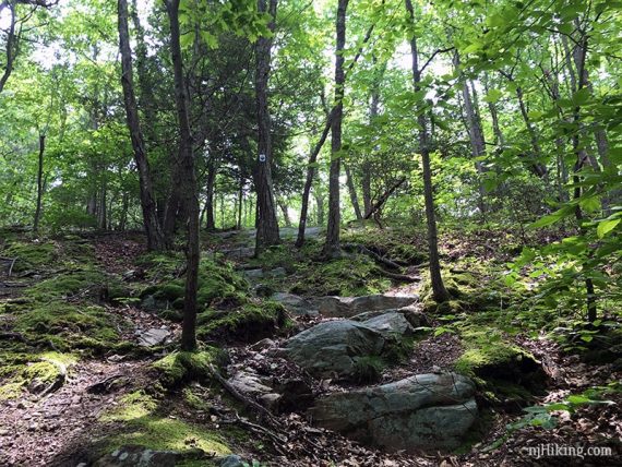 Looking back up steep Jacobs Ladder