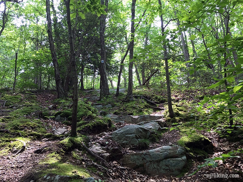 Looking back up steep Jacobs Ladder
