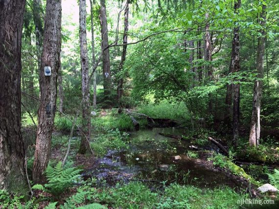 Stream crossing on Jacobs Ladder