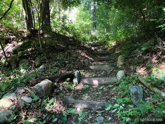 Steps placed on trail