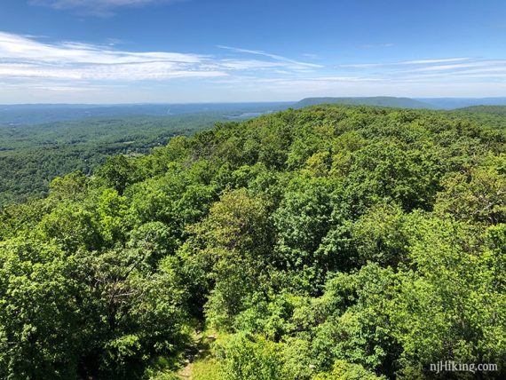 View from the Catfish Fire Tower south