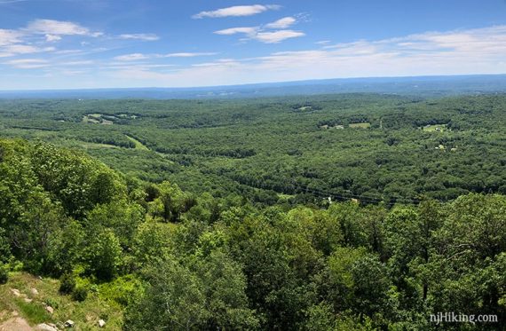 View over green foliage and farms in New Jersey