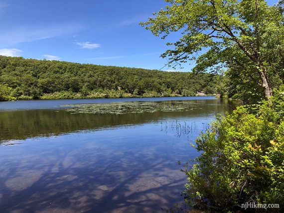 Catfish Pond