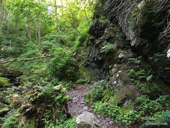 Mine entrance in a rock face