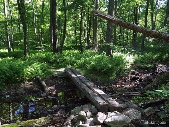 Log bridge on Coppermine Trail