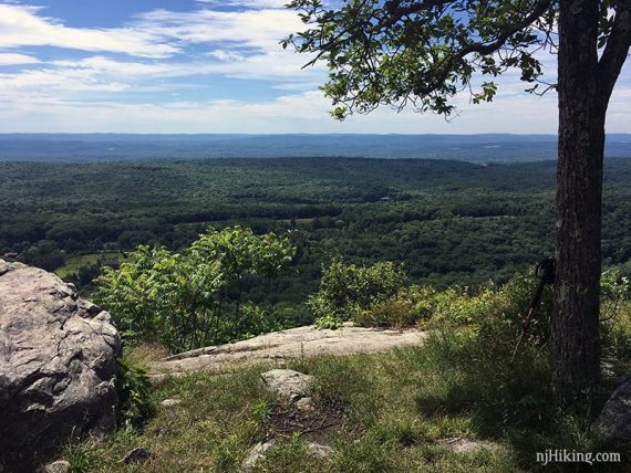 Shady break spot on the Appalachian Trail