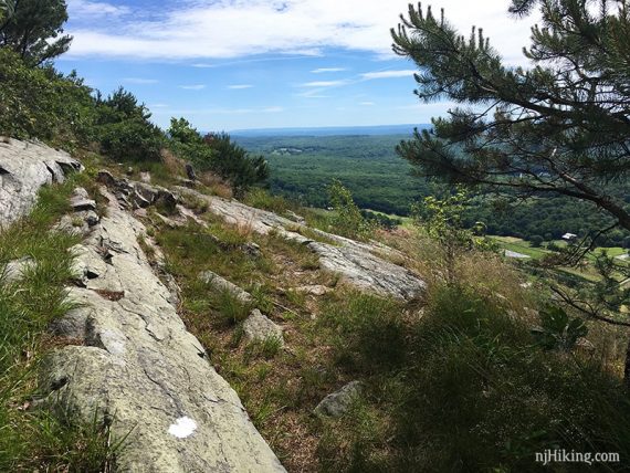 White trail marker on a rock slab with green trees in the distance