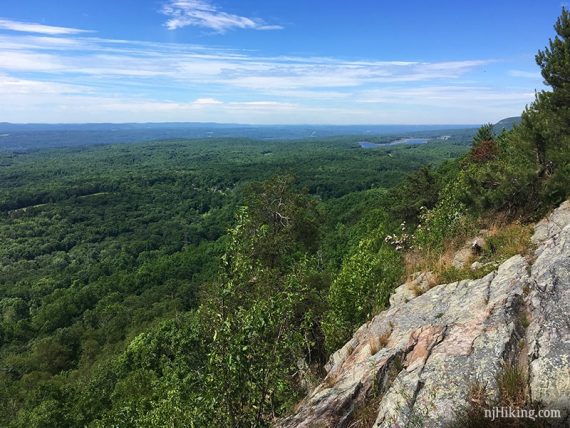 Vast view over green trees from atop a ridge