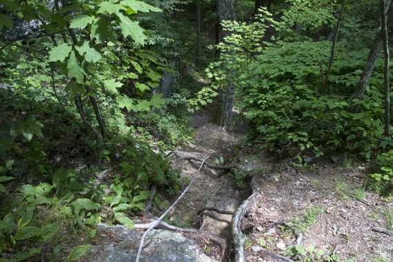 Steep section of trail with rope