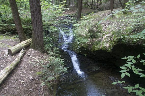 Water cascade