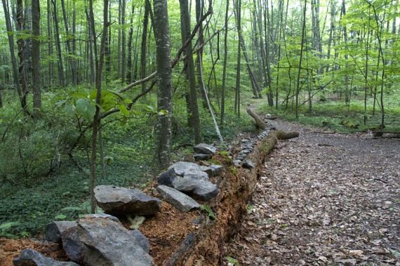 Long log with rocks stacked on it