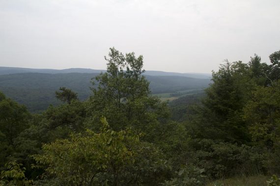 View on Tumbling Waters trail